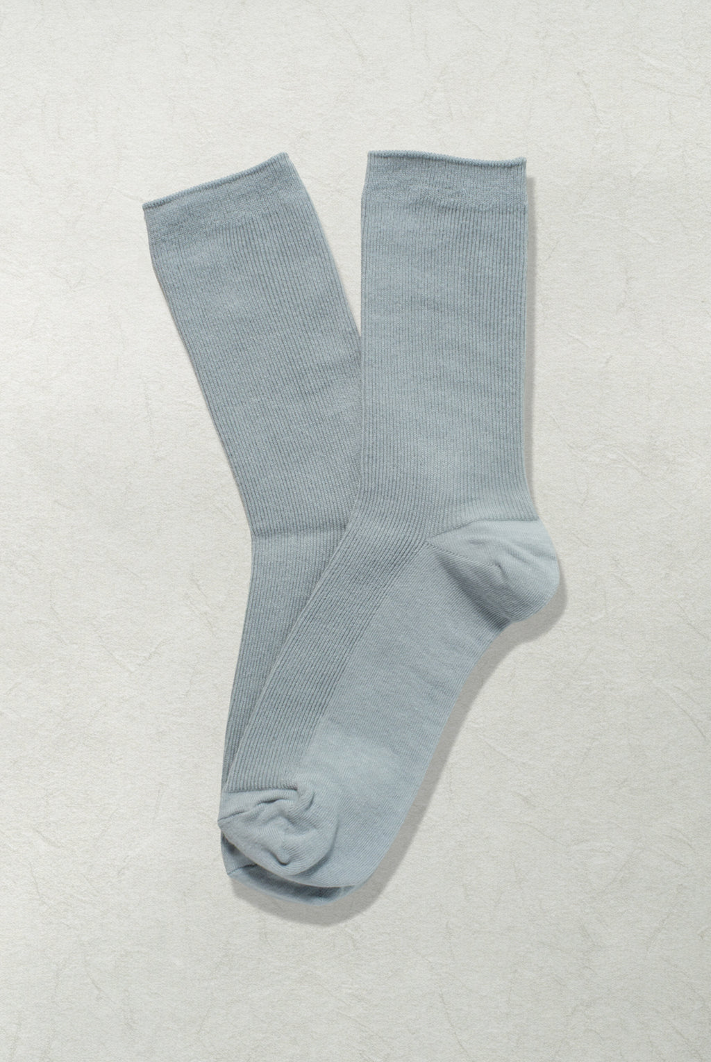 The Daily Canvas – Dove - Sole of Seoul