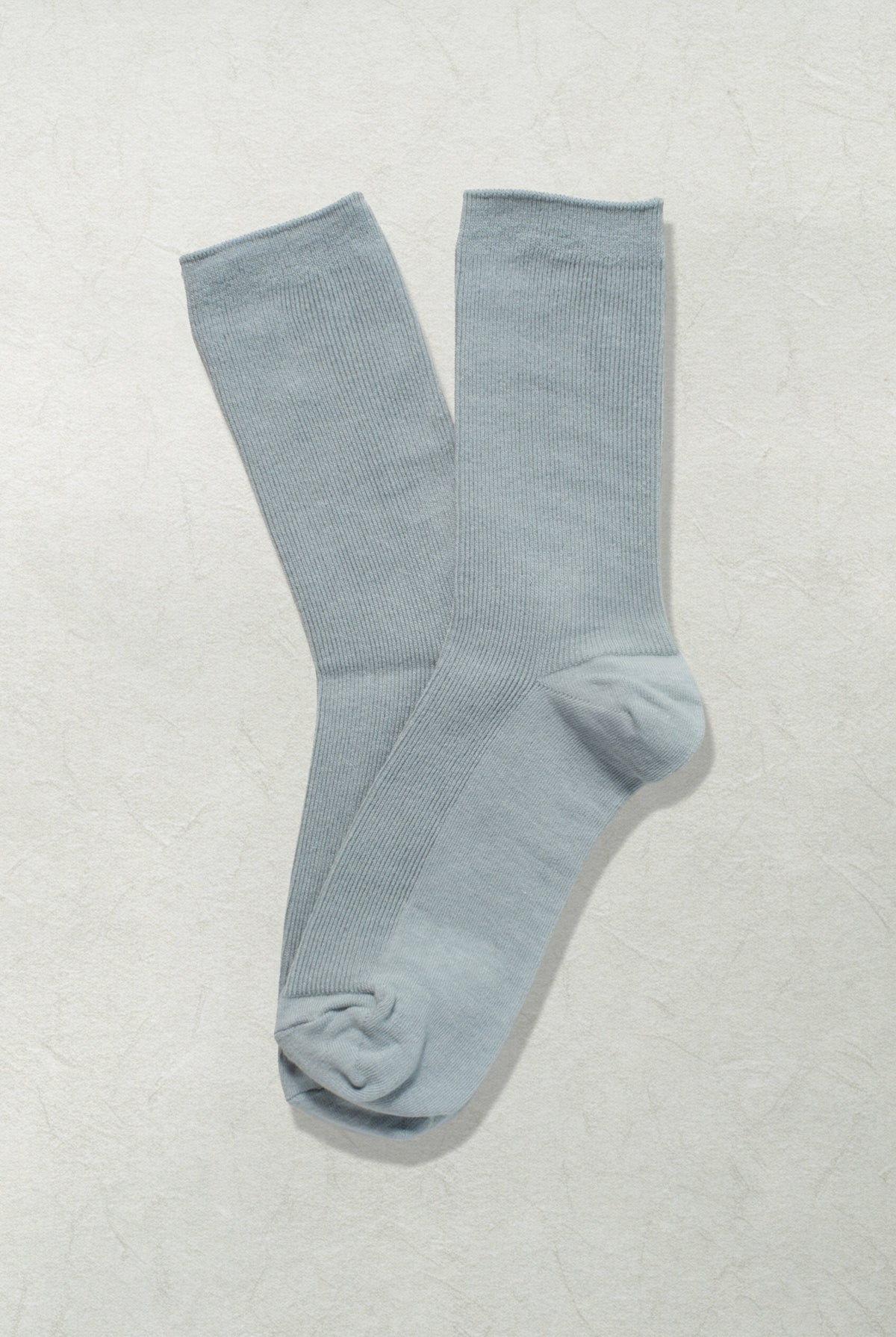 The Daily Canvas – Dove - Sole of Seoul