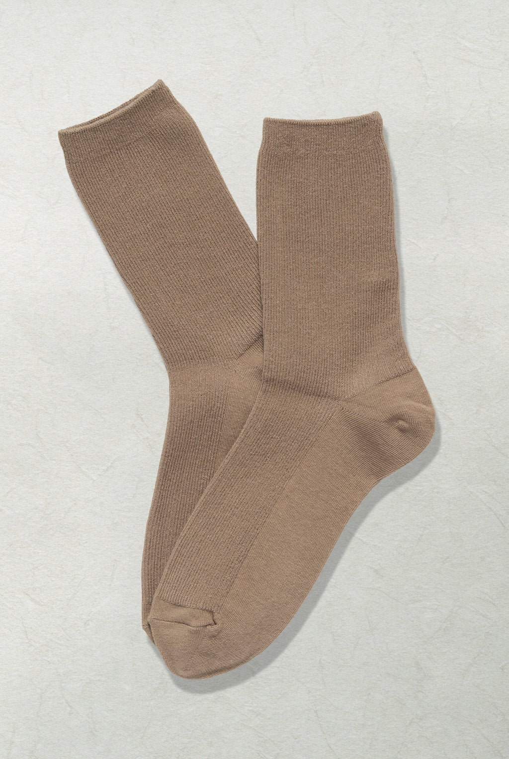 The Daily Canvas – Cocoa - Sole of Seoul