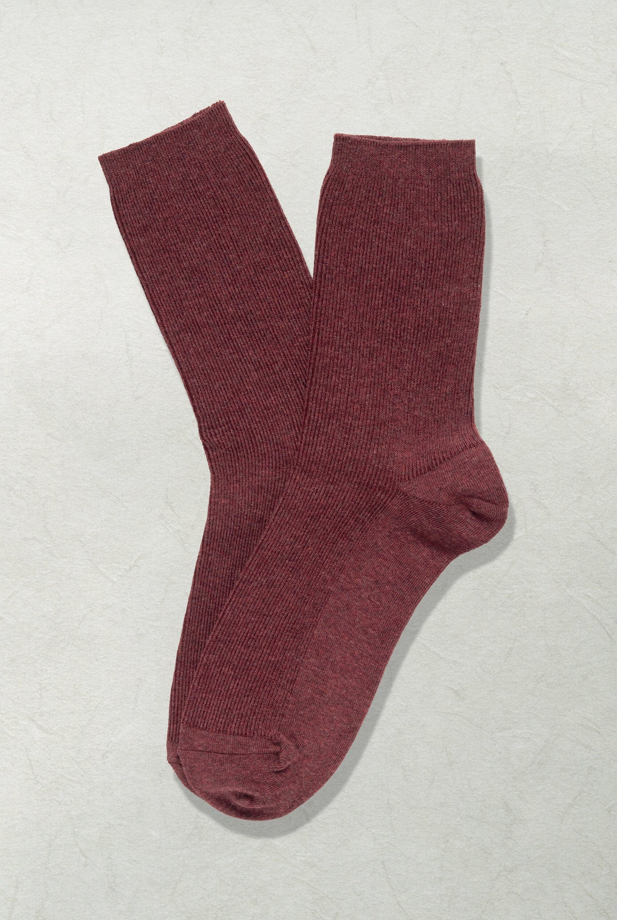 The Daily Canvas – Mulberry - Sole of Seoul