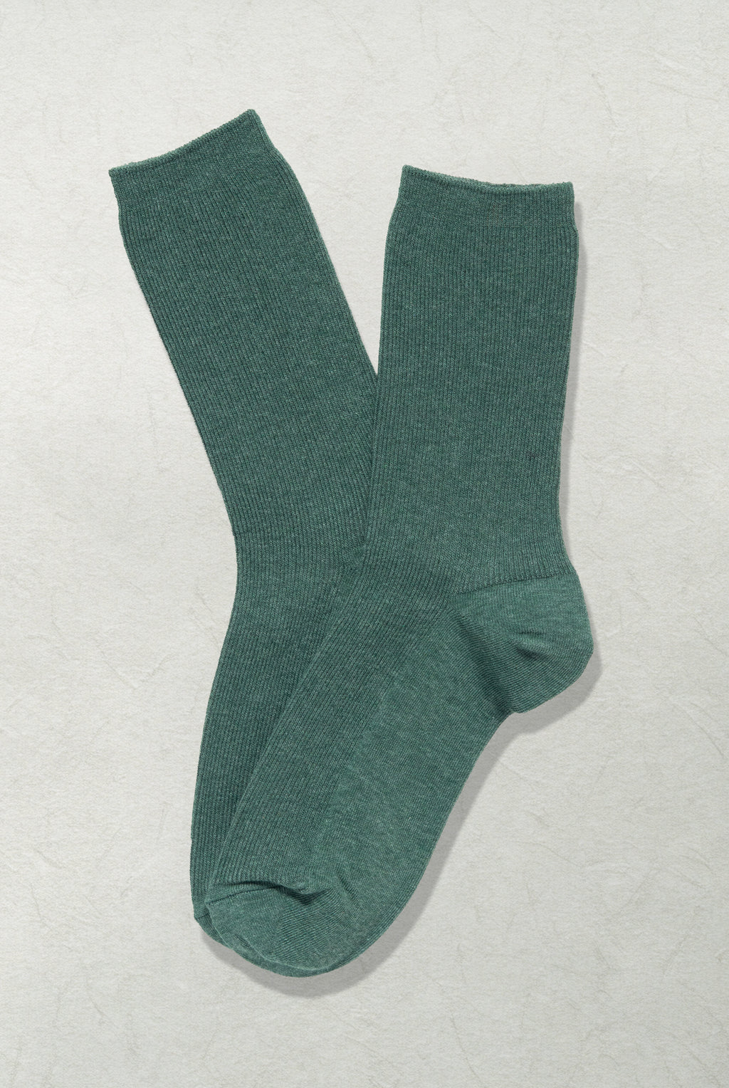 The Daily Canvas – Herb - Sole of Seoul