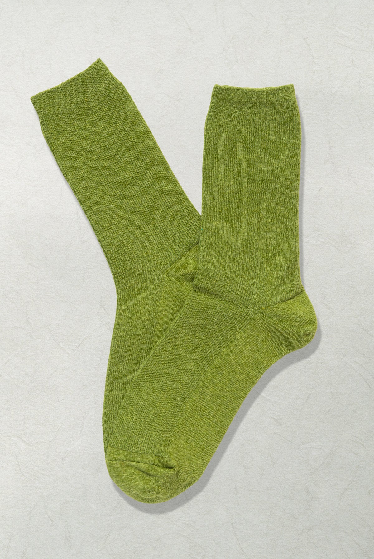 The Daily Canvas – Green Khaki - Sole of Seoul