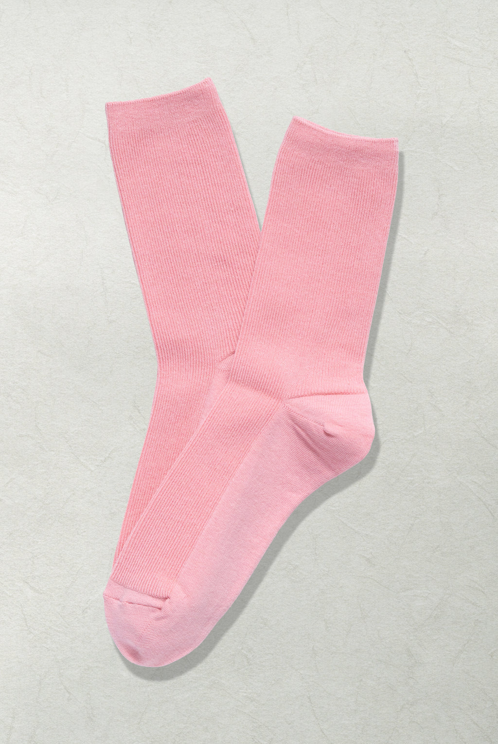 The Daily Canvas – Flamingo - Sole of Seoul
