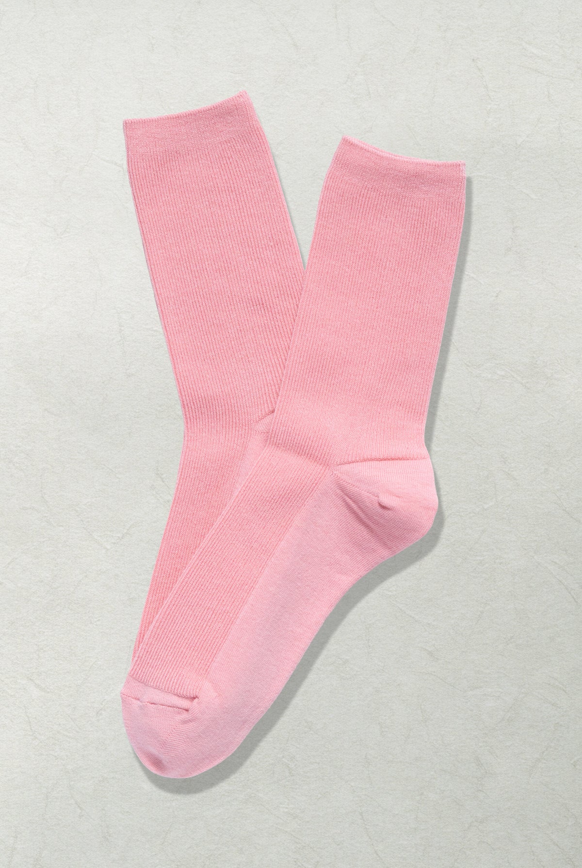 The Daily Canvas – Flamingo - Sole of Seoul