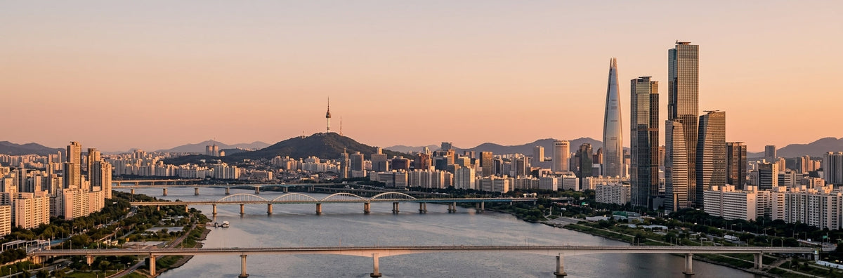 Seoul Stadtbild – Sole of Seoul, Premium Socken inspiriert von Korea
