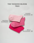 The Yeouido Bloom Trio - Sole of Seoul